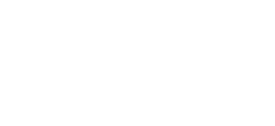 Partner 1
