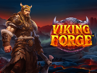 Viking Forge