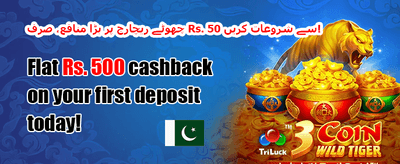 ویلکم میگا بونس